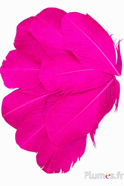 Petali in piume - 9-11 x 6 cm - fucsia